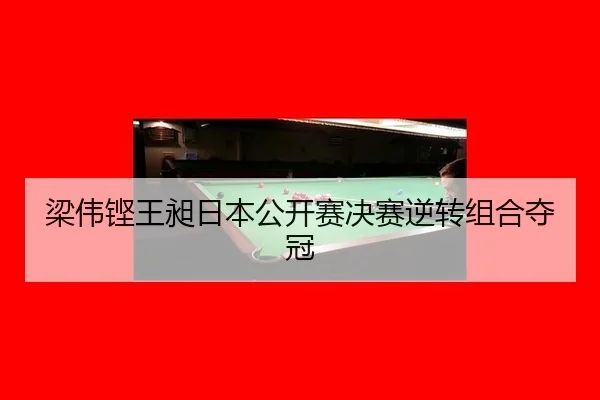 liang-wei-keng-wang-chang-ri-ben-gong-kai-sai-jue-sai-ni-zhuan-zu-he-duo-guan-2-324.jpg