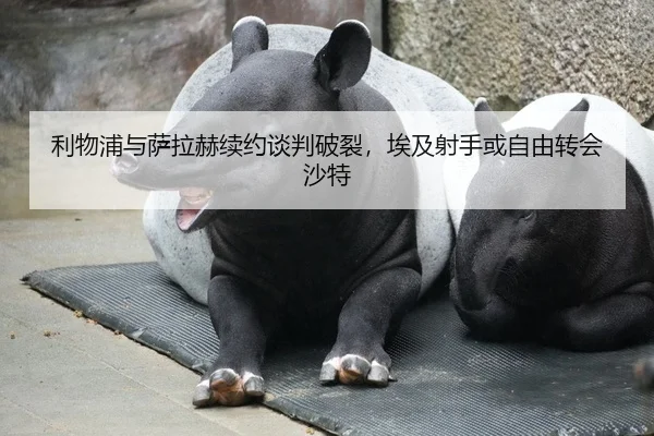 利物浦与萨拉赫续约谈判破裂，埃及射手或自由转会沙特