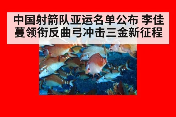 中国射箭队亚运名单公布 李佳蔓领衔反曲弓冲击三金新征程