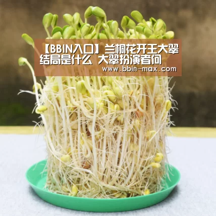 BBIN官网